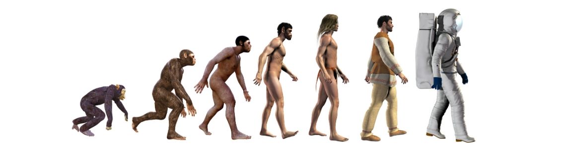 進化の様子